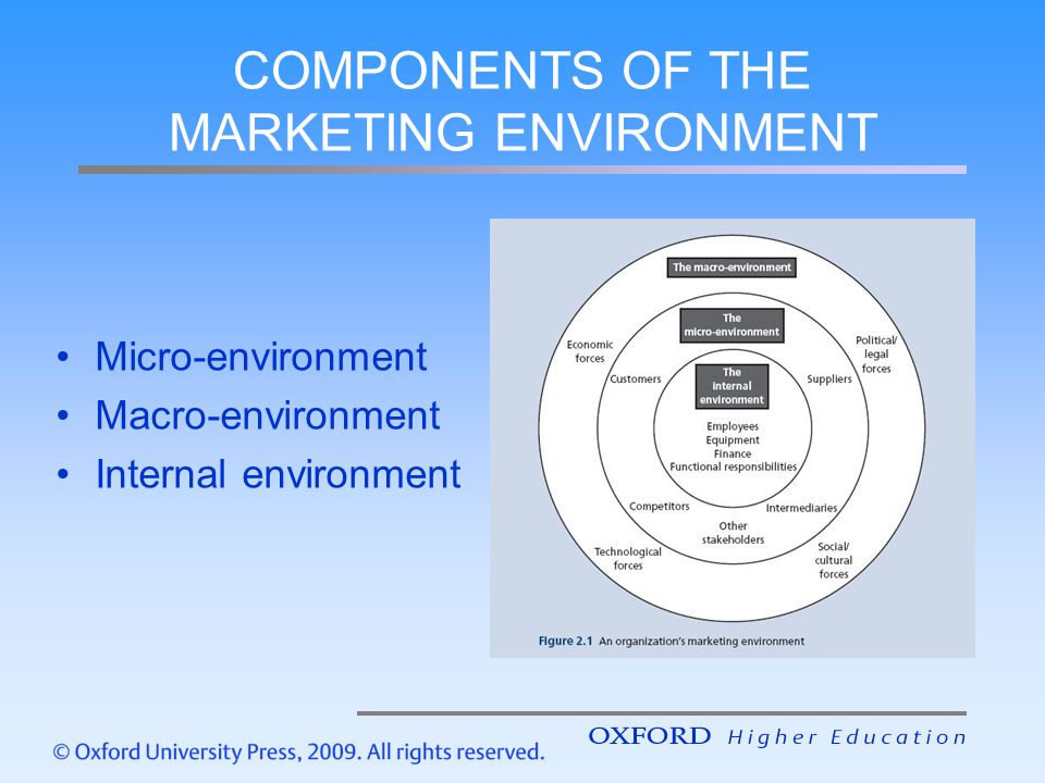 Micro (Internal) Environment vs. Macro (External) Environment: What's the Difference?